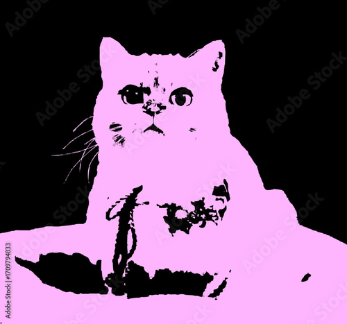 cat with a pink heart
