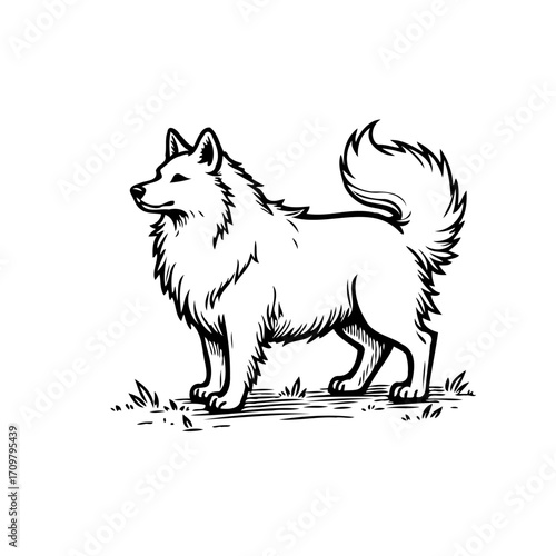 Engraving style illustration of a standing dog showcasing its elegance and adorable features
