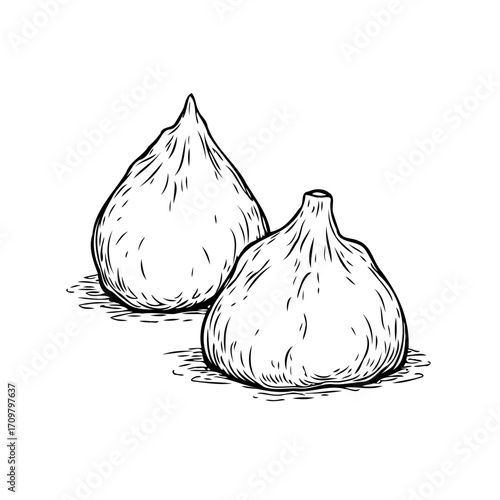 Hand drawn fig fruit illustration featuring two isolated figs on white background sketch design