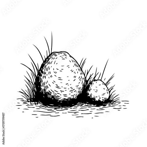 Hand-drawn sketch of stones amidst grassy vegetation creating a natural and minimalist artistic