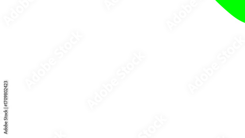 Minimalist white background with a vibrant green curve, offering a fresh, clean, and modern design element for various digital and print projects.