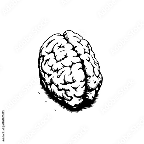 Intricate cerebral organ illustration highlighting intellect capacity with detailed human