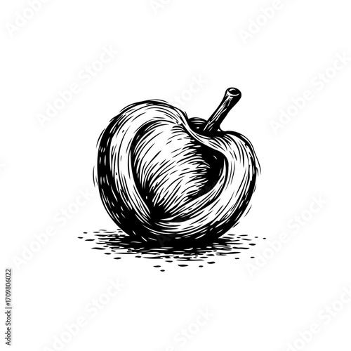 Monochrome apple sketch with detailed shading showcasing vintage botanical art and natural fruit