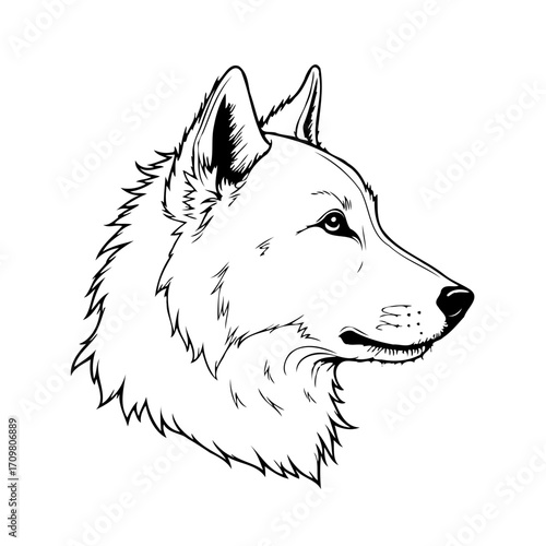 Monochrome depiction of a wolf portrait capturing its essence and strength in a simplistic yet