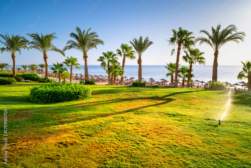 Obraz premium Palm trees against backdrop of turquoise sea in morning. Seaside holiday resort on Red Sea, Marsa Alam, Egypt, Africa.