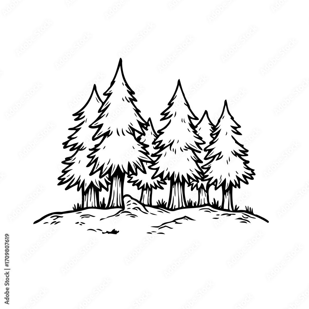 Obraz premium Monochrome forested illustration with evergreen trees offering a serene and tranquil scenic nature