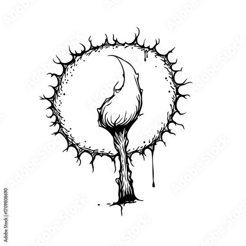 Monochrome ink drawing of a sprouting seed with a protective thorny ring conceptualizing new