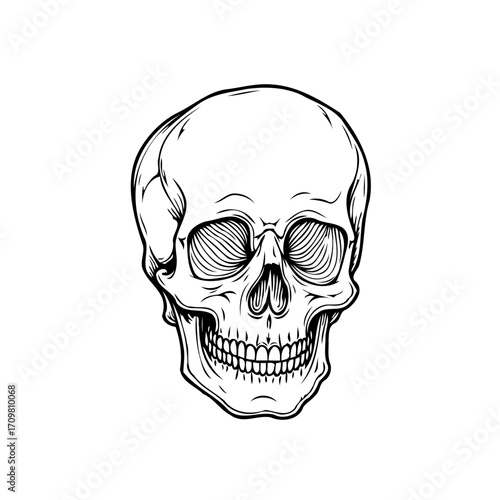 Monochrome skull illustration displays intricate line work symbolizing mortality and human