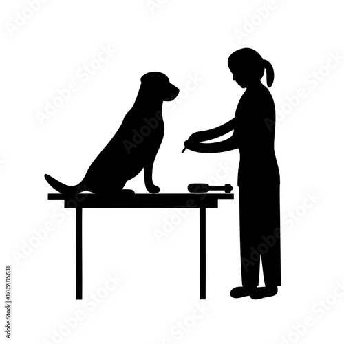 Silhouette of a dog being groomed on a table by a person
