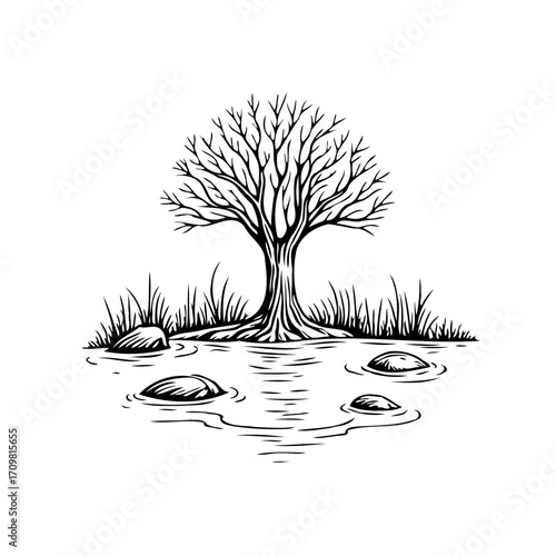 Serene waterside arboreal silhouette evokes tranquility with reflective pools and minimalist