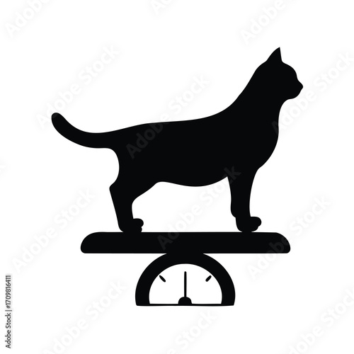 Black cat standing on a scale, a humorous feline weight control image