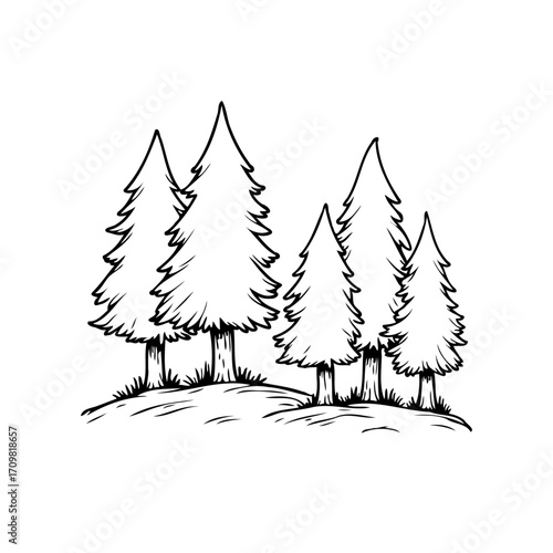 Stylized pine tree grove sketch illustrating peaceful forest landscape and minimalistic art design