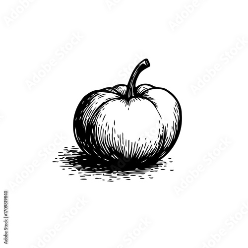 Vintage pumpkin illustration showcases autumnal harvest with rustic monochrome detail for seasonal