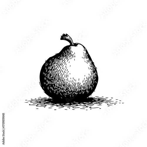 Vintage pear illustration in black and white offering a rustic charm and timeless food appeal