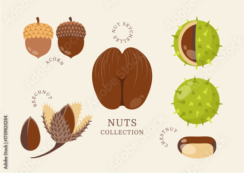 Tablou pe pânză Nuts collection