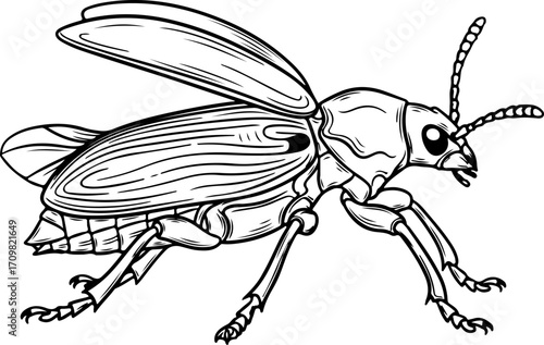 Vector art of black and white illustration of a beetle