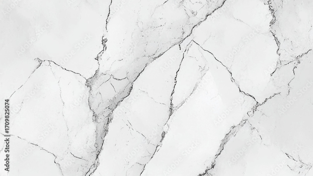 Obraz premium Black and white natural marble pattern. White marble texture abstract background. Vector art