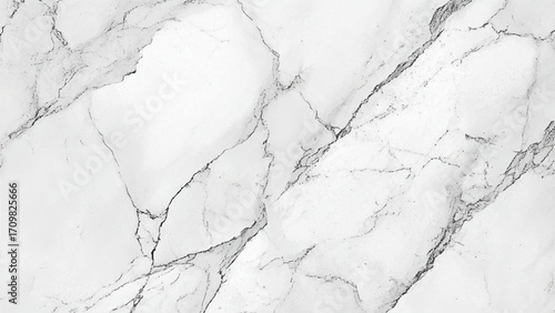 Black and white natural marble pattern texture background. Vector design.