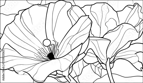 Fototapeta Naklejka Na Ścianę i Meble -  Detailed black and white line drawing of two flowers