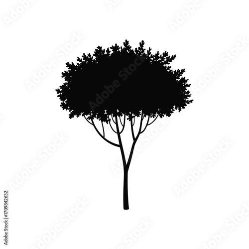 Silhouette of a lush green deciduous tree with intricate branches and a full canopy against white