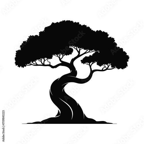 Silhouette of a single ancient gnarled tree with a full leafy canopy on a