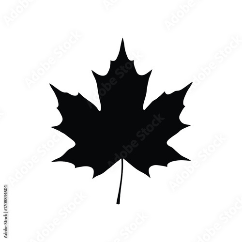 Iconic silhouette of a canadian maple leaf autumn symbol isolated vector graphic silhouette