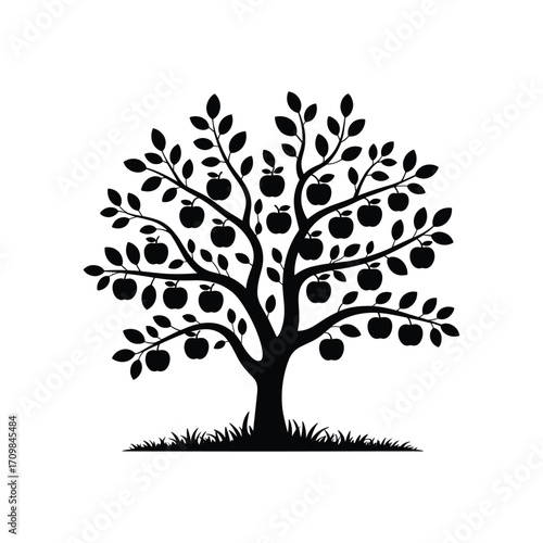 Silhouette of a mature apple tree laden with ripe fruit and lush green leaves set against a clear sky