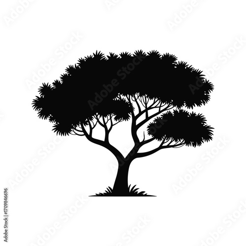 Silhouette of a majestic acacia tree with a wide canopy against a clean backdrop