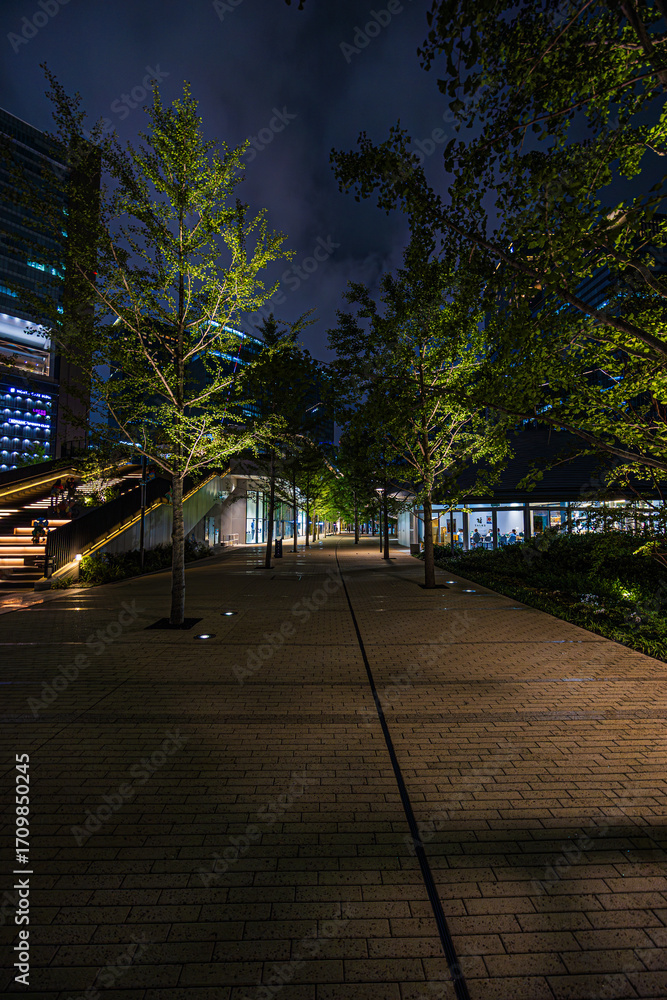 Obraz premium 都市夜景