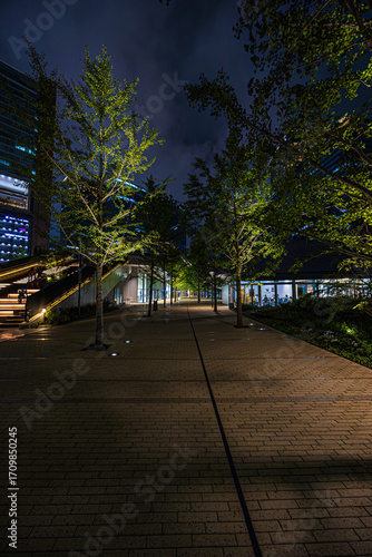 都市夜景