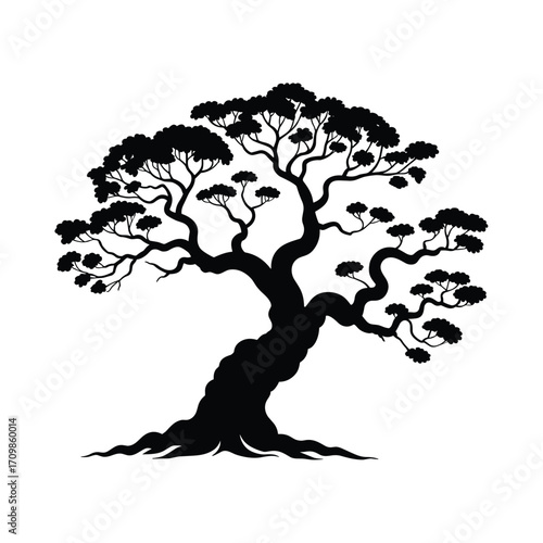 Silhouette of a twisted ancient bonsai tree with detailed branches and foliage isolated