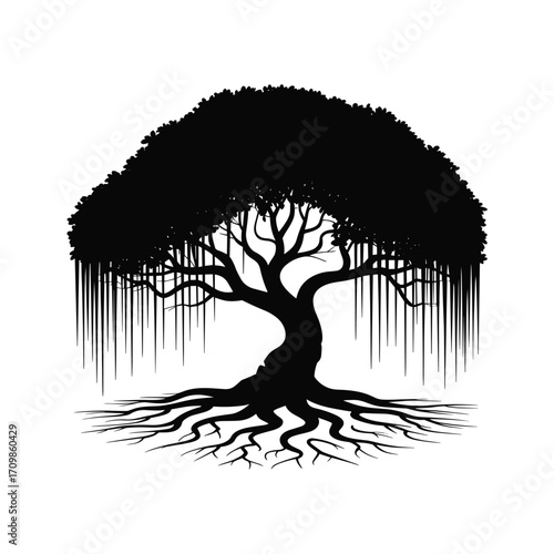 Silhouette of a large banyan tree with intricate roots and hanging aerial roots casting a dramatic shadow