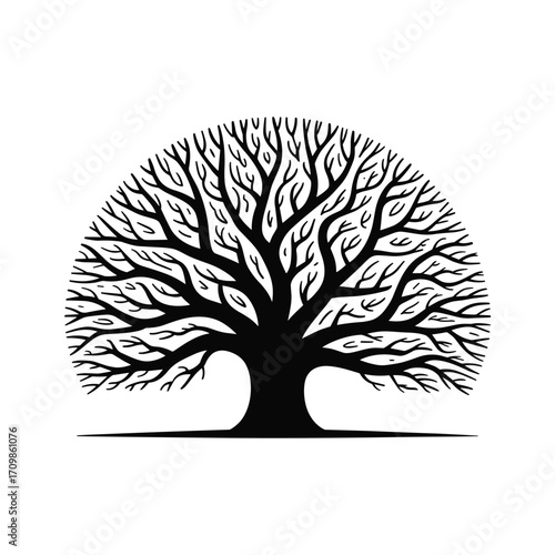 Intricate silhouette of a mature oak tree with spreading branches in black and white