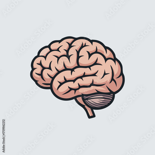 Cartoonish illustration of a human brain, side view, showing detail of the cerebral cortex.