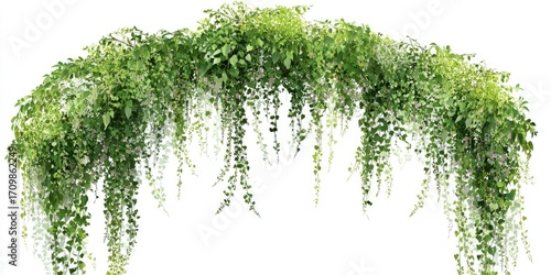 Lush green cascading foliage (1)