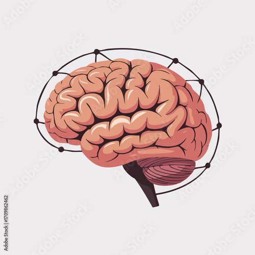 A detailed illustration of a human brain, highlighted with a network of connections.