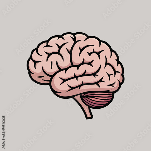 A stylized illustration of a human brain, showcasing its detailed anatomical structure in a light pink hue.