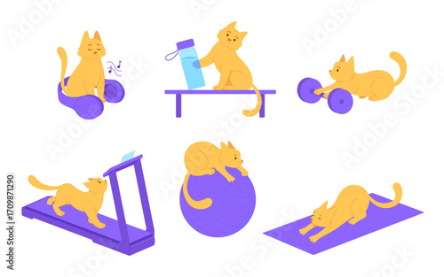 Fitness sport cat color illustration