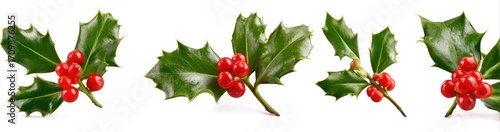 Holiday holly sprigs with bright red berries