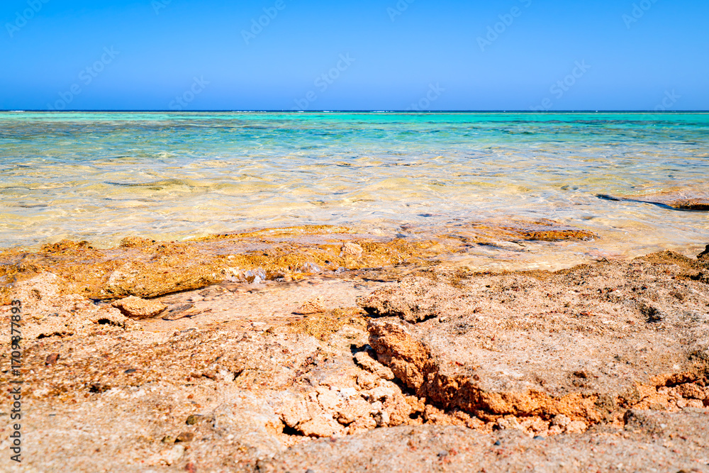 Obraz premium Crystal clear water in Egypt, Marsa Alam. Red Sea coast, Africa. Holidays by the turquoise sea.