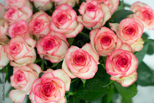 Elegant bouquet of pink and cream roses close up. Romantic floral background perfect for weddings, Valentine’s Day, anniversaries