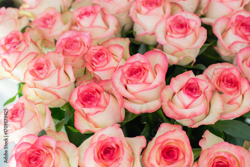 Elegant bouquet of pink and cream roses close up. Romantic floral background perfect for weddings, Valentine’s Day, anniversaries