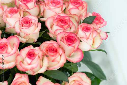 Elegant bouquet of pink and cream roses close up. Romantic floral background perfect for weddings, Valentine’s Day, anniversaries