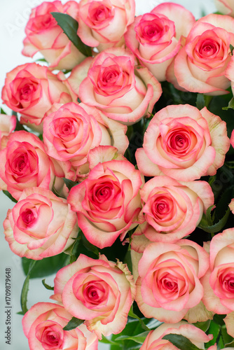 Elegant bouquet of pink and cream roses close up. Romantic floral background perfect for weddings, Valentine’s Day, anniversaries