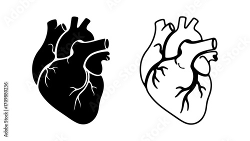 Anatomical Heart Illustrations Black Silhouette and Outline.