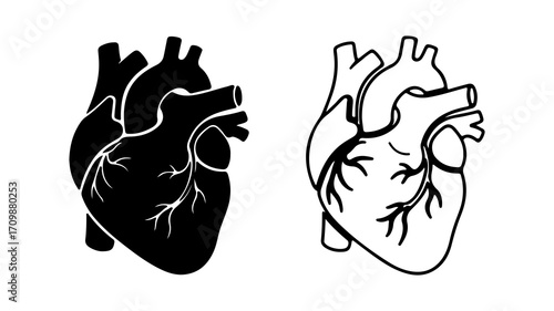 Anatomical Heart Illustrations Black Silhouette and Outline 1.
