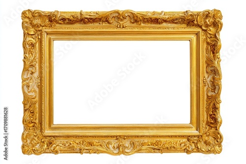 Ornate gold picture frame (1)