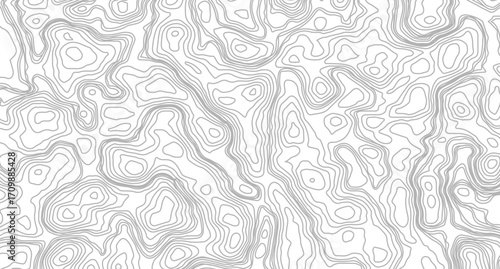 Topographic map contour background. Contour map vector. Map line of topography. Vector abstract topographic map concept. 