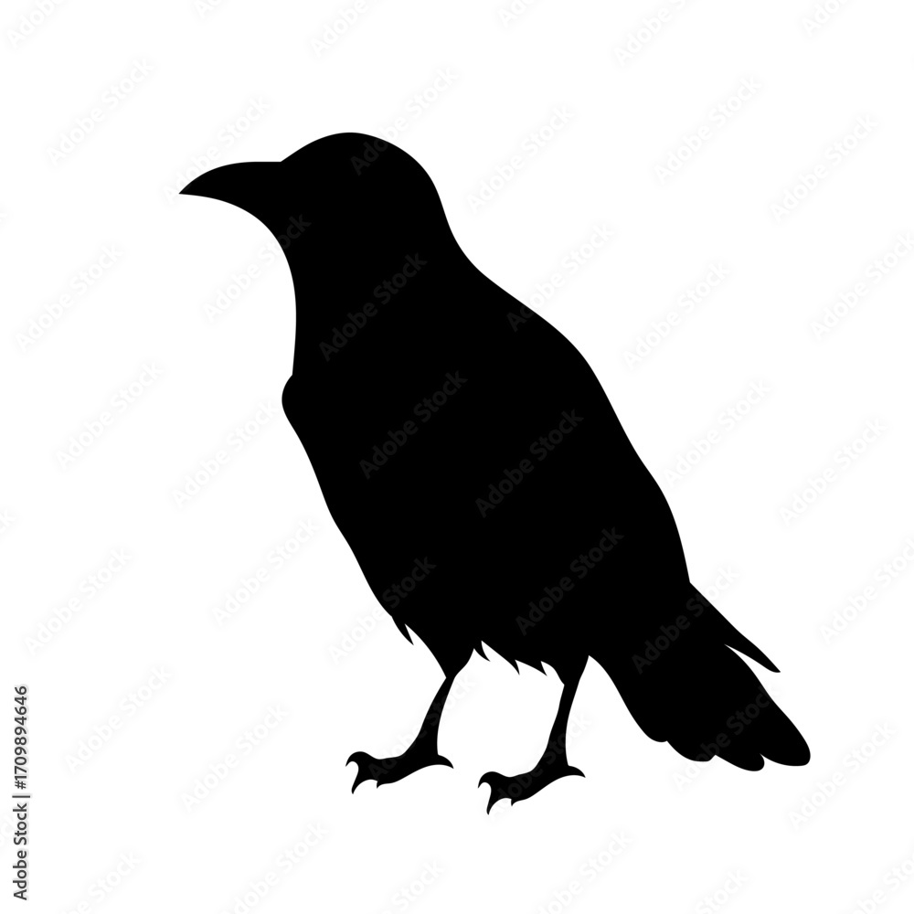 Fototapeta premium Black silhouette of a crow on a white background. Bird icon.