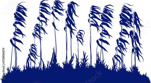 midnight blue grass silhouette serene meadow, gentle breeze, whispering reeds, isolated on transparent background